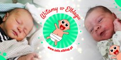 Witamy w Elblgu: Filipw, Laur, Jagod, Weronik i Kacpra