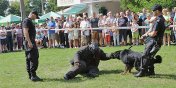 Moc atrakcji na Starwce z okazji wita Policji - zobacz zdjcia z Festynu