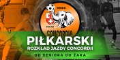 Pikarski rozkad jazdy z Concordi. Zobacz terminarz naszych druyn od 21 do 24 wrzenia