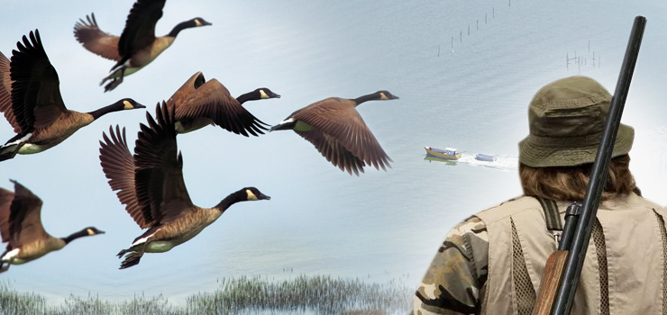 Rzeź nad Zalewem Wiślanym. Włoscy myśliwi zastrzelili kilkaset ptaków