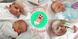 Witamy w Elblgu: Antonin, Hann,Antoniego,Feliks​​​​​​​a 