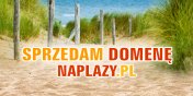 Sprzedamy domen naplazy.pl