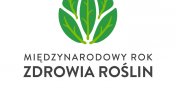 Midzynarodowy Rok Zdrowia Rolin