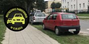 Mistrzowie parkowania w Elblgu (cz 64)