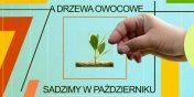 A drzewa owocowe sadzimy w padzierniku! – zielona akcja w Galerii EL