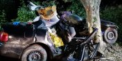 Tragiczny wypadek pod Braniewem. Nie yje 18-latek. Kierowca i modzi pasaerowie w szpitalu - zobacz zdjcia