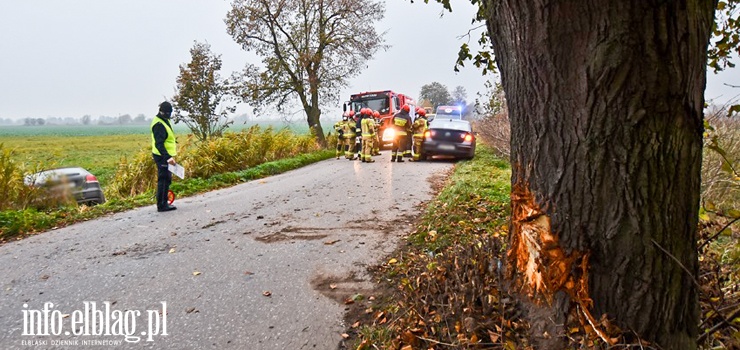 Grony wypadek na drodze do Markus. Audi uderzyo w drzewo