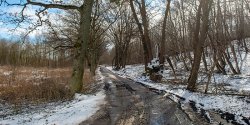 Budowa ulicy Wschodniej. Miasto szuka inyniera kontraktu