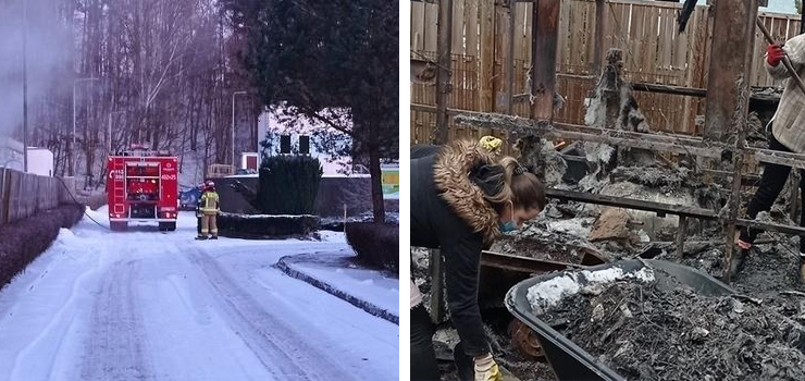Pożar w Punkcie dla Zwierząt. Stowarzyszenie "Bezdomny Kundelek" prosi o wsparcie