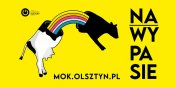 MOK Olsztyn poleca