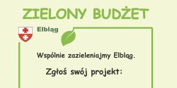 Zielony Budet Elblga 2021 – rozpoczynamy gosowanie