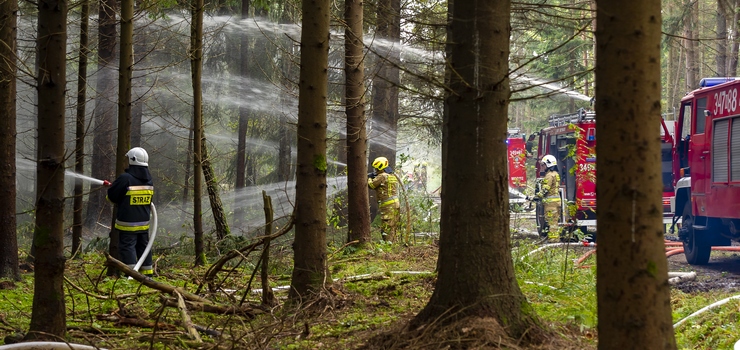 Pożar lasu i ewakuacja obozu harcerskiego. Strażacy ćwiczyli w okolicach Młynar