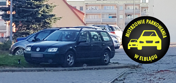 Mistrzowie parkowania w Elblgu (cz 128)