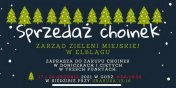 Zarzd Zieleni Miejskiej w Elblgu zaprasza do zakupu choinek