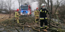 OSP w Krzewsku: uwaajcie na siebie. Jest niebezpiecznie - zwaszcza pod drzewami