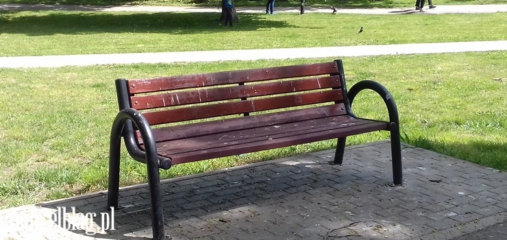 awki upstrzone ptasimi odchodami. W Parku Traugutta lepiej uwaa, gdzie si siada?