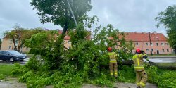 Elblg: Poamane drzewa, uszkodzona latarnia. Straacy usuwali skutki wichury 