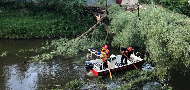 Drzewo zatarasowało koryto rzeki