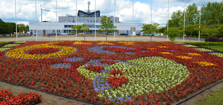 Takiego kwietnika w Elblągu jeszcze nie było