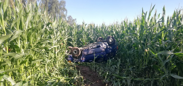 20-latek dachowa w polu kukurydzy skradzionym autem. By trzewy