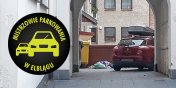 Mistrzowie parkowania w Elblgu (cz 202)