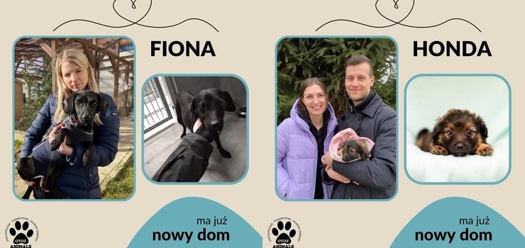 Honda i Fiona maj ju nowy dom!