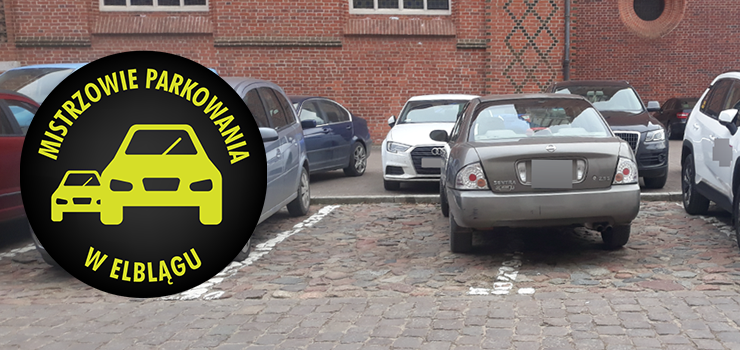 Mistrzowie parkowania w Elblągu (część 235)