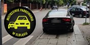 Mistrzowie parkowania w Elblgu (cz 270)