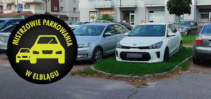 Mistrzowie parkowania w Elblgu (cz 277)