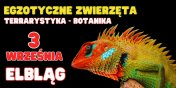 Pierwsza edycja Targw egzotycznych zwierzt niebawem w Elblgu - wygraj bilety