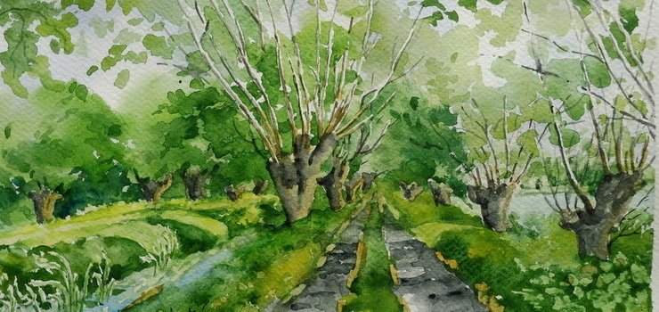 Do drzew mi po drodze – wernisa wystawy Lucyny Niepokorowicz