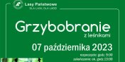 Grzybobranie z lenikami