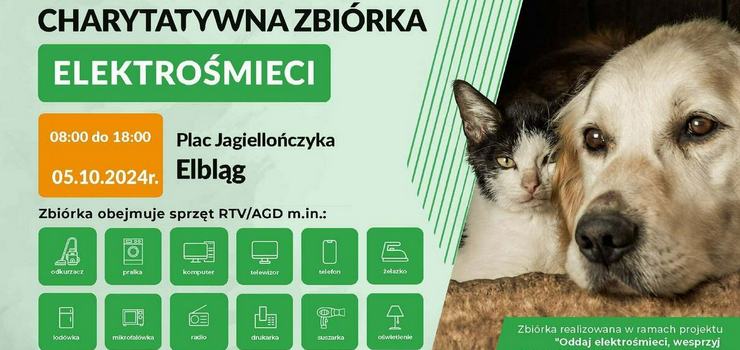 Zbirka elektromieci na rzecz Schroniska dla Bezdomnych Zwierzt w Elblgu