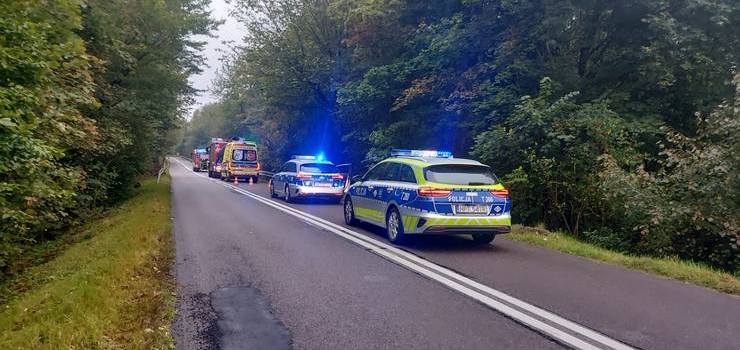 Pijany wiz dziecko, auto wyldowao w wwozie. To nie pierwszy podobny "wyczyn" 41-latka