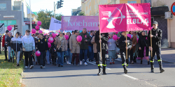 Marsz zdrowia w Elblgu."Profilaktyka dobra taktyka"(zobacz zdjcia)