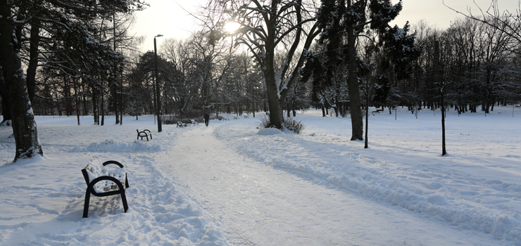 Zimowa aura za oknem. To pierwszy śnieg tej zimy w Elblągu