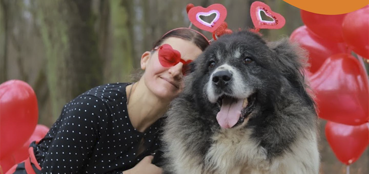 Sensei trafi do naszego schroniska w dramatycznych okolicznociach