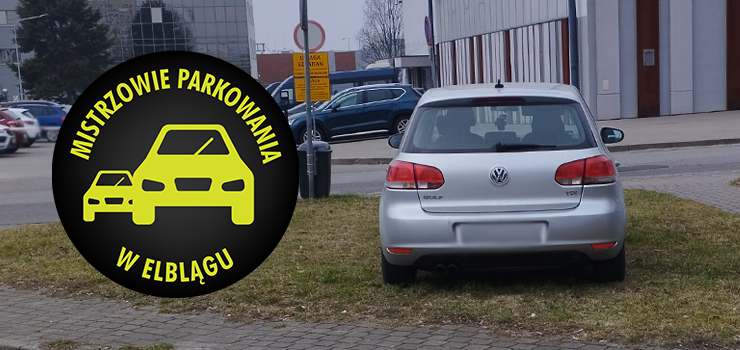 Mistrzowie Parkowania w Elblgu (cz 380)