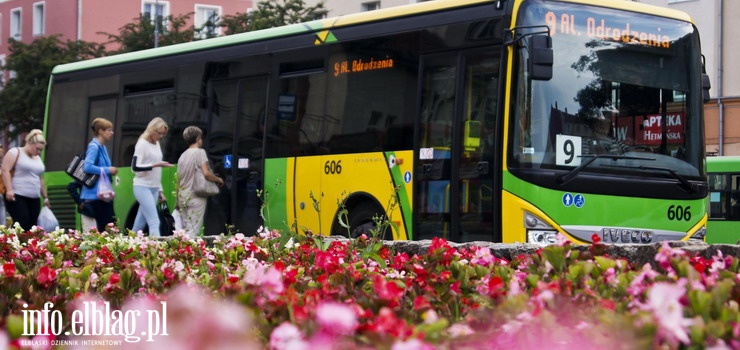 Komunikacja miejska 2 maja - jak w sobotę