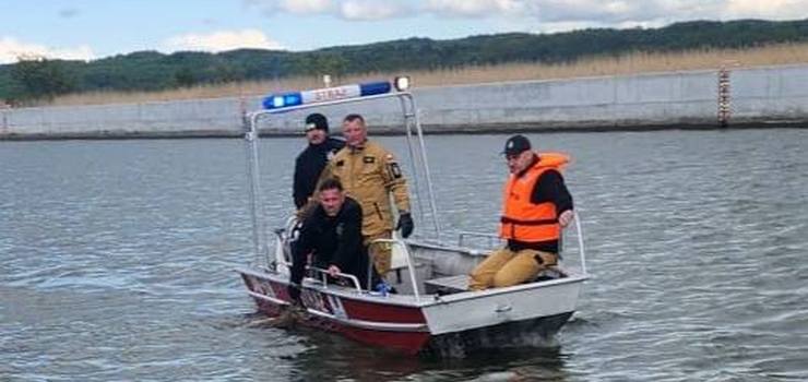 Jelonek wpadł do rzeki Elbląg. Z pomocą ruszyli strażacy i patrol wodny