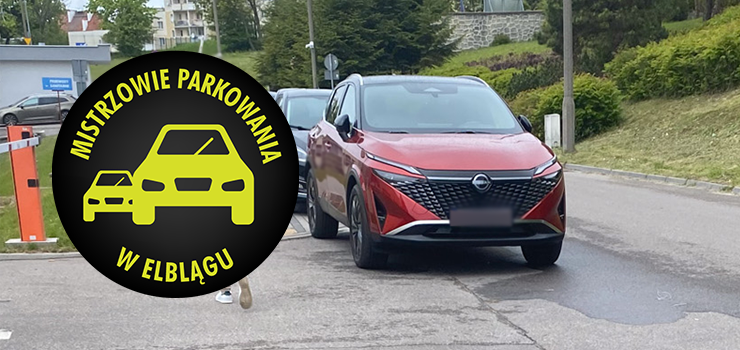 Mistrzowie Parkowania w Elblągu (część 389)