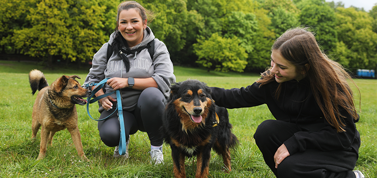 Za nami majowy Bieg na 6 łap - zobacz zdjęcia