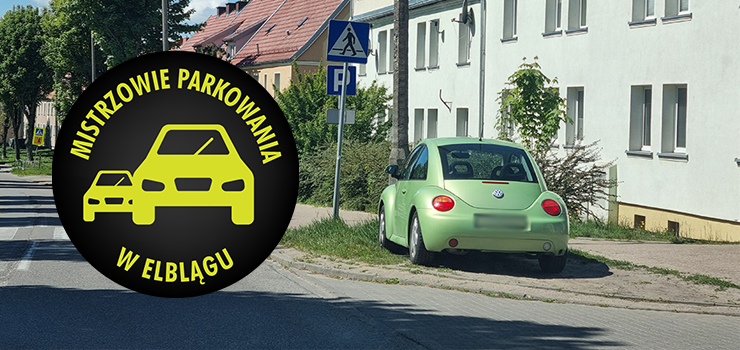 Mistrzowie Parkowania w Elblągu (część 390)