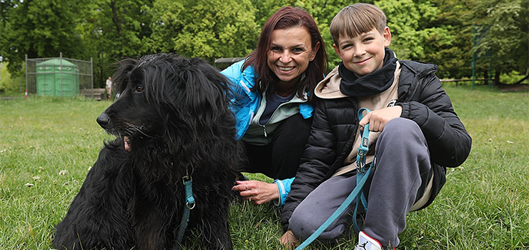 Czerwiec na spacerze z psami w Bażantarni
