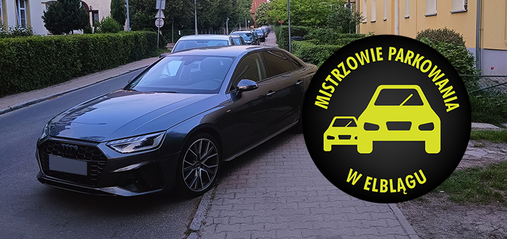 Mistrzowie Parkowania w Elblągu (część 392)