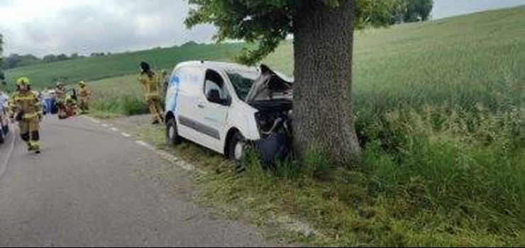 Auto dostawcze wjechało w drzewo. „34-latek najprawdopodobniej zasnął w czasie jazdy”