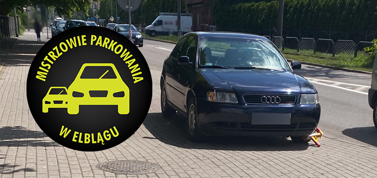 Mistrzowie Parkowania w Elblągu (część 393)