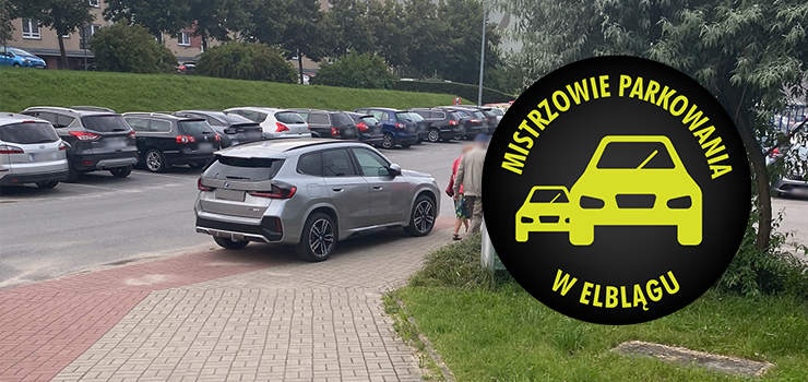 Mistrzowie Parkowania w Elblągu (część 406)