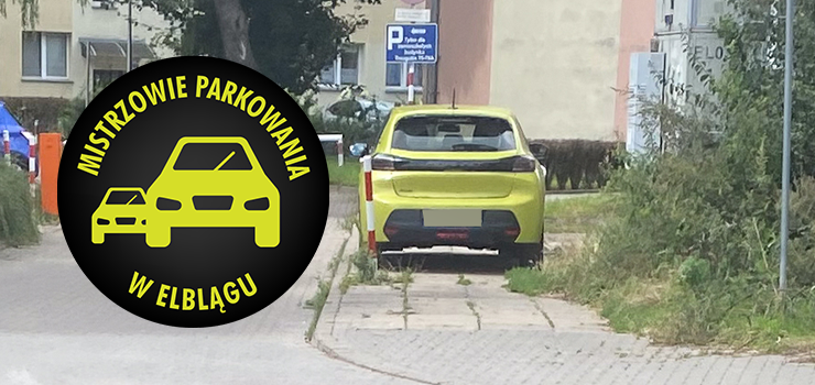 Mistrzowie Parkowania w Elblągu (część 408)