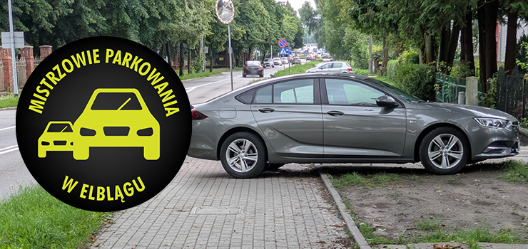 Mistrzowie Parkowania w Elblągu (część 409)